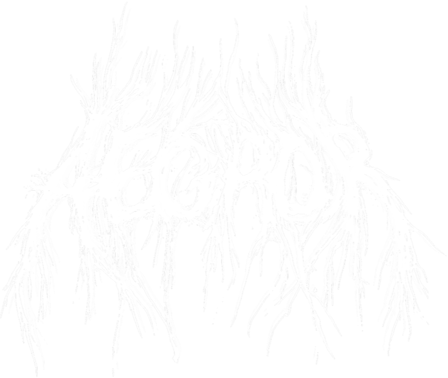 <h1>Aegror – Official Website</h1>